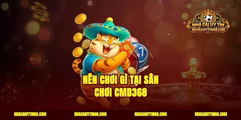 Nên chơi gì tại sân chơi CMD368